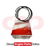 Mahle S41892 Ring Set of 6